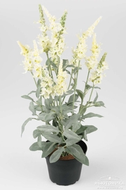 Искусственное растение "Вероника", 46 см, 8130-10-1