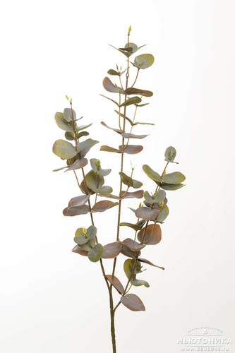 Искусственная ветка эвкалипта, 70 см