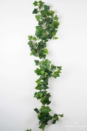 Искусственное растение "Плющ обыкновенный", 1556-90