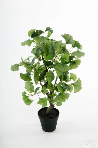 Искусственное растение "Гинкго", 65 см