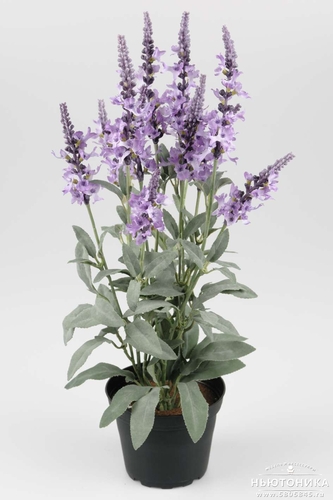 Искусственное растение "Вероника", 46 см
