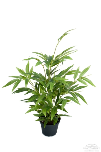 Искусственное растение "Бамбук", 45 см